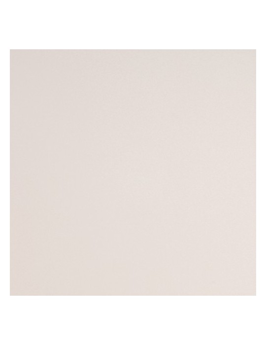 S5GCLB - Gris Clair Brillant